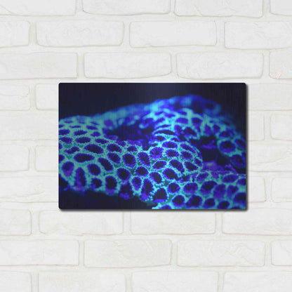 Luxe Metal Art 'Ocean Carpet' by Epic Portfolio Metal Wall Art,16x12