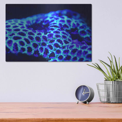 Luxe Metal Art 'Ocean Carpet' by Epic Portfolio Metal Wall Art,16x12