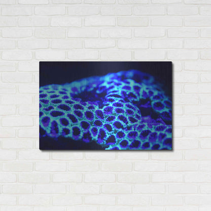 Luxe Metal Art 'Ocean Carpet' by Epic Portfolio Metal Wall Art,36x24