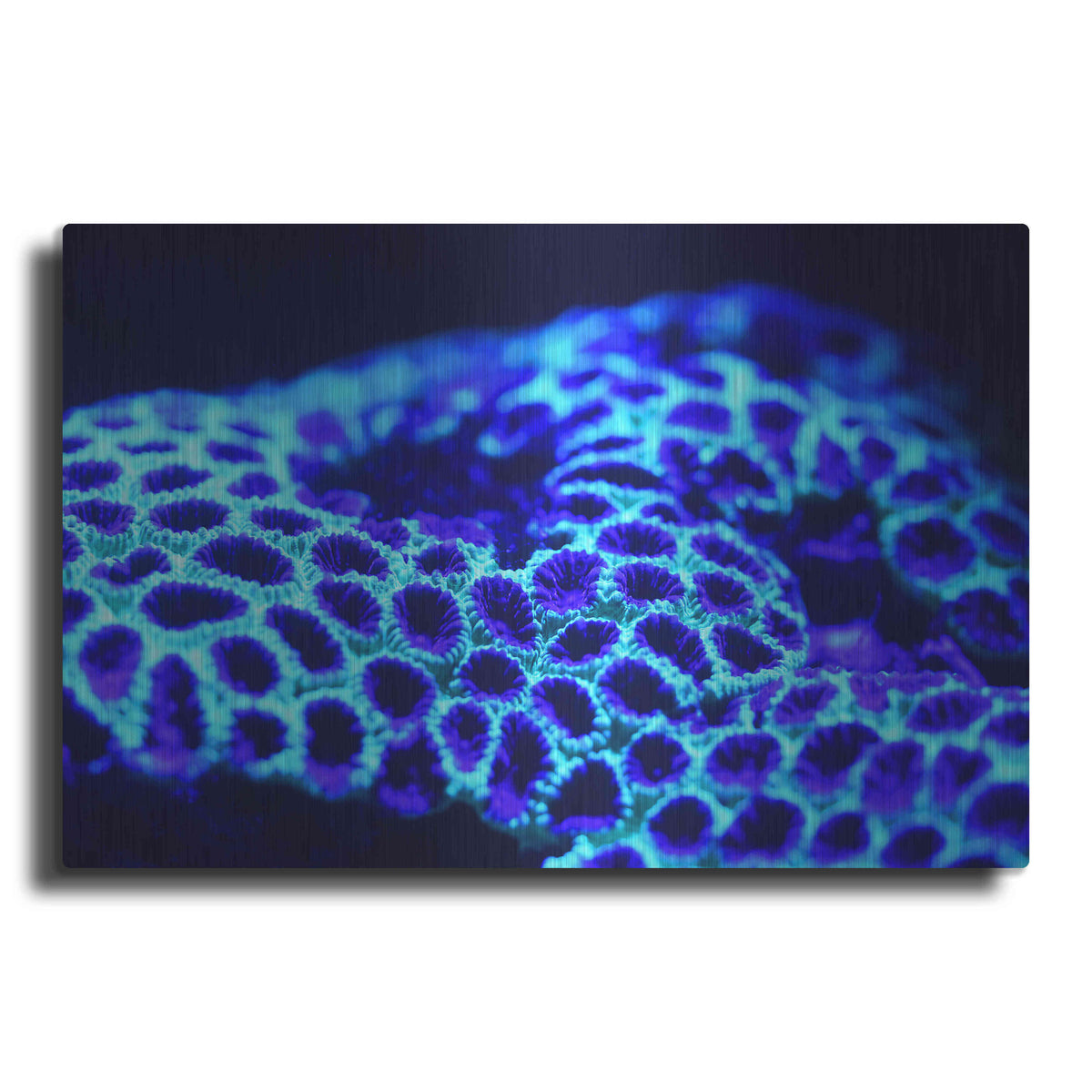 Luxe Metal Art 'Ocean Carpet' by Epic Portfolio Metal Wall Art