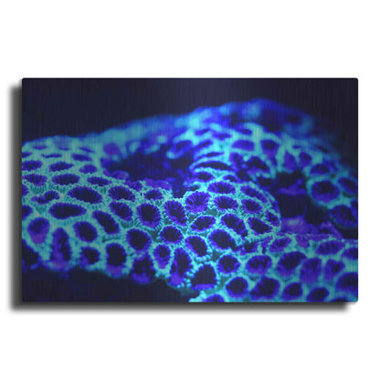 Luxe Metal Art 'Ocean Carpet' by Epic Portfolio Metal Wall Art