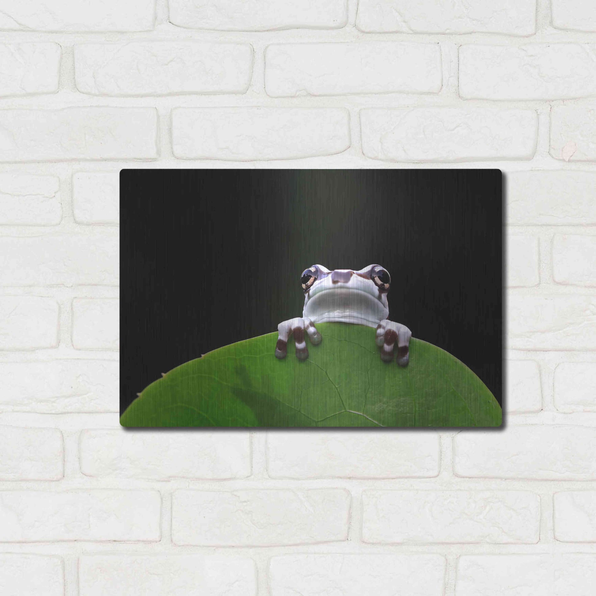 Luxe Metal Art 'Peekaboo' by Epic Portfolio Metal Wall Art,16x12