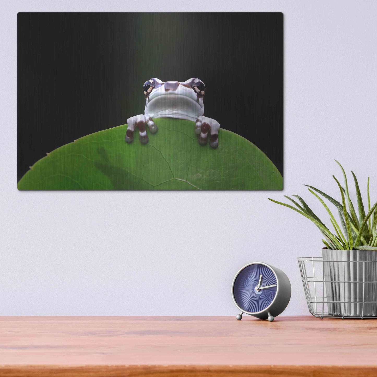 Luxe Metal Art 'Peekaboo' by Epic Portfolio Metal Wall Art,16x12