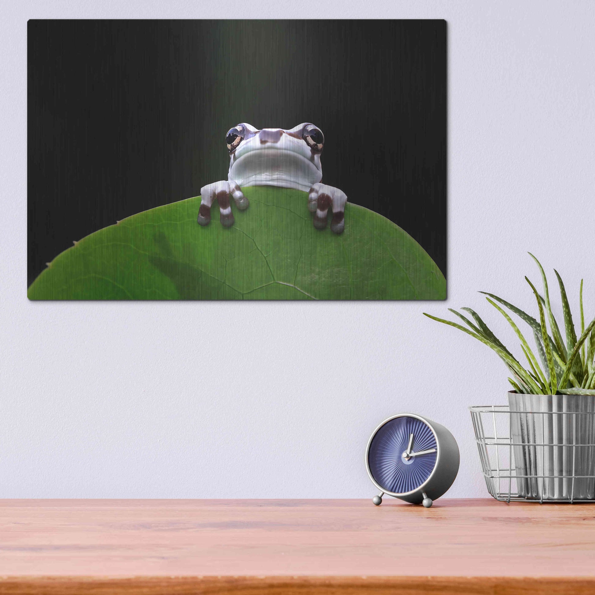 Luxe Metal Art 'Peekaboo' by Epic Portfolio Metal Wall Art,16x12