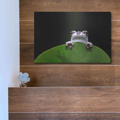 Luxe Metal Art 'Peekaboo' by Epic Portfolio Metal Wall Art,16x12