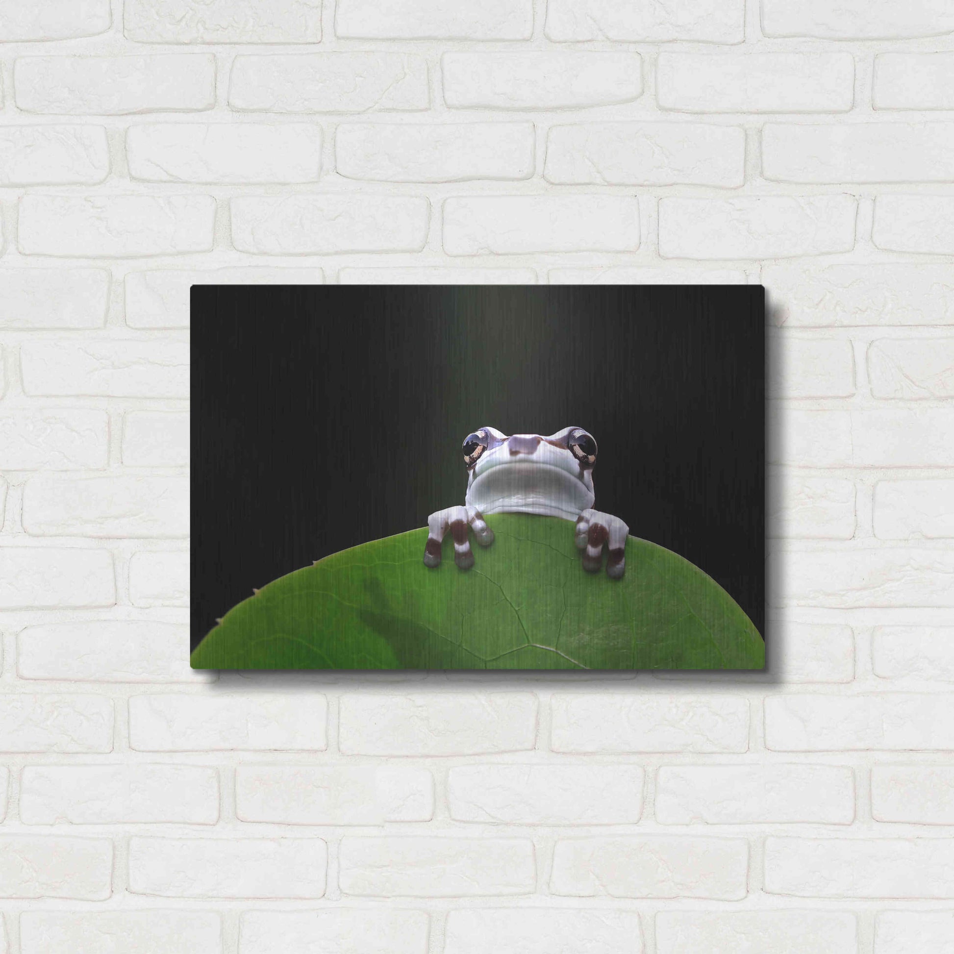 Luxe Metal Art 'Peekaboo' by Epic Portfolio Metal Wall Art,24x16