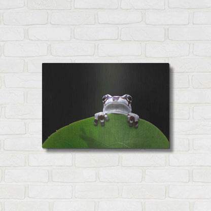 Luxe Metal Art 'Peekaboo' by Epic Portfolio Metal Wall Art,24x16