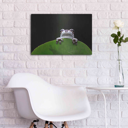 Luxe Metal Art 'Peekaboo' by Epic Portfolio Metal Wall Art,24x16