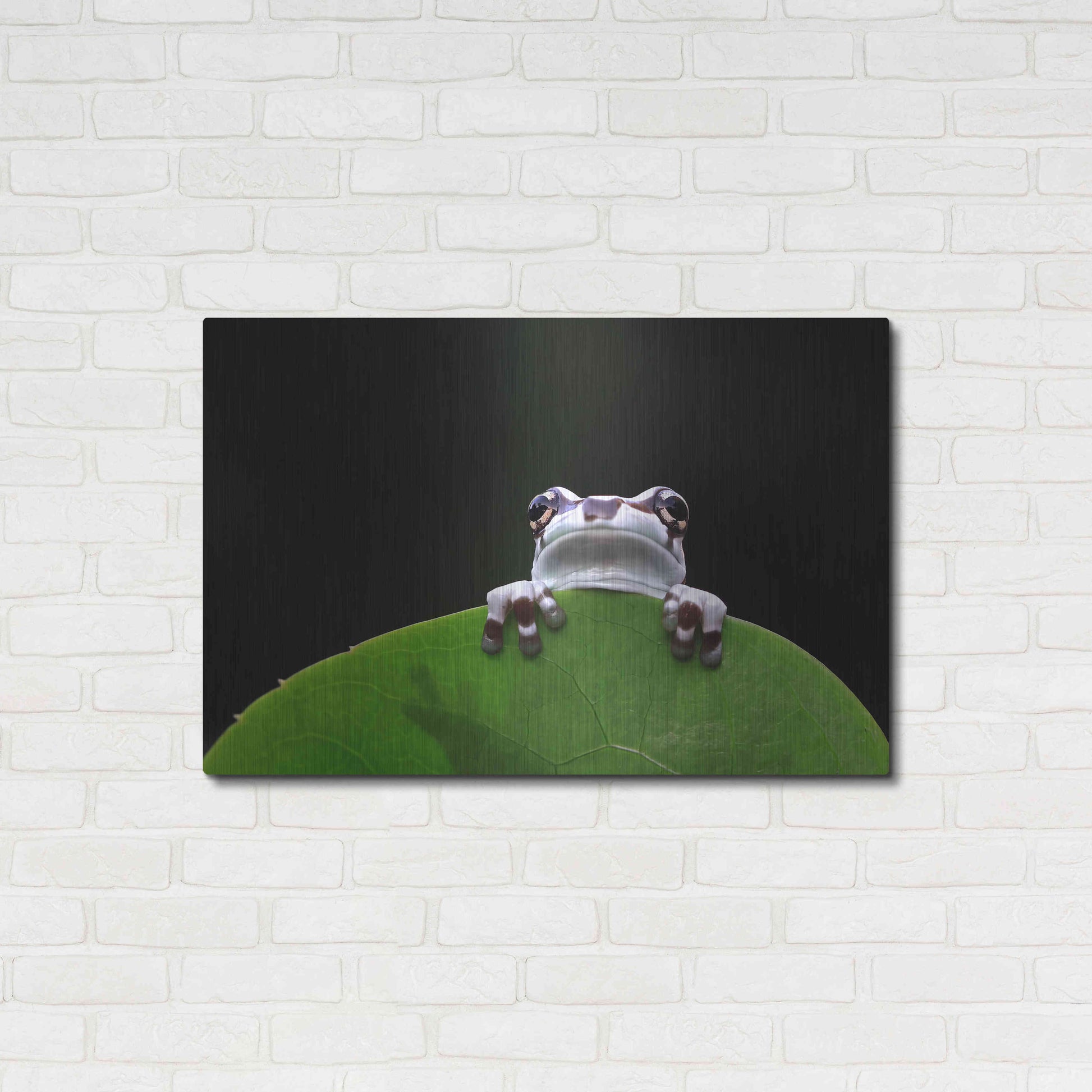Luxe Metal Art 'Peekaboo' by Epic Portfolio Metal Wall Art,36x24