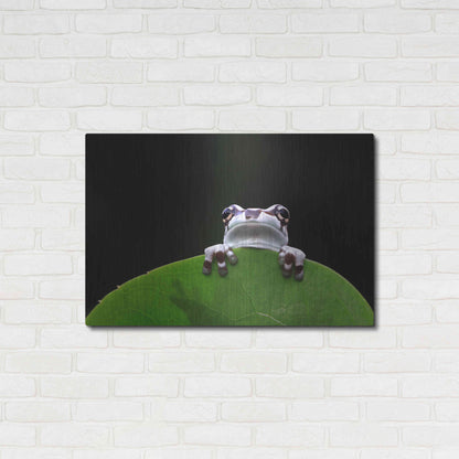 Luxe Metal Art 'Peekaboo' by Epic Portfolio Metal Wall Art,36x24