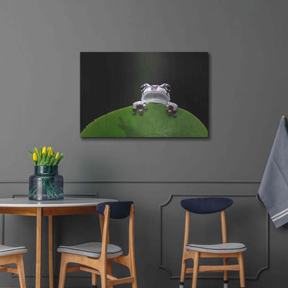 Luxe Metal Art 'Peekaboo' by Epic Portfolio Metal Wall Art,36x24