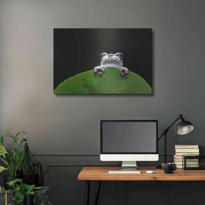 Luxe Metal Art 'Peekaboo' by Epic Portfolio Metal Wall Art,36x24