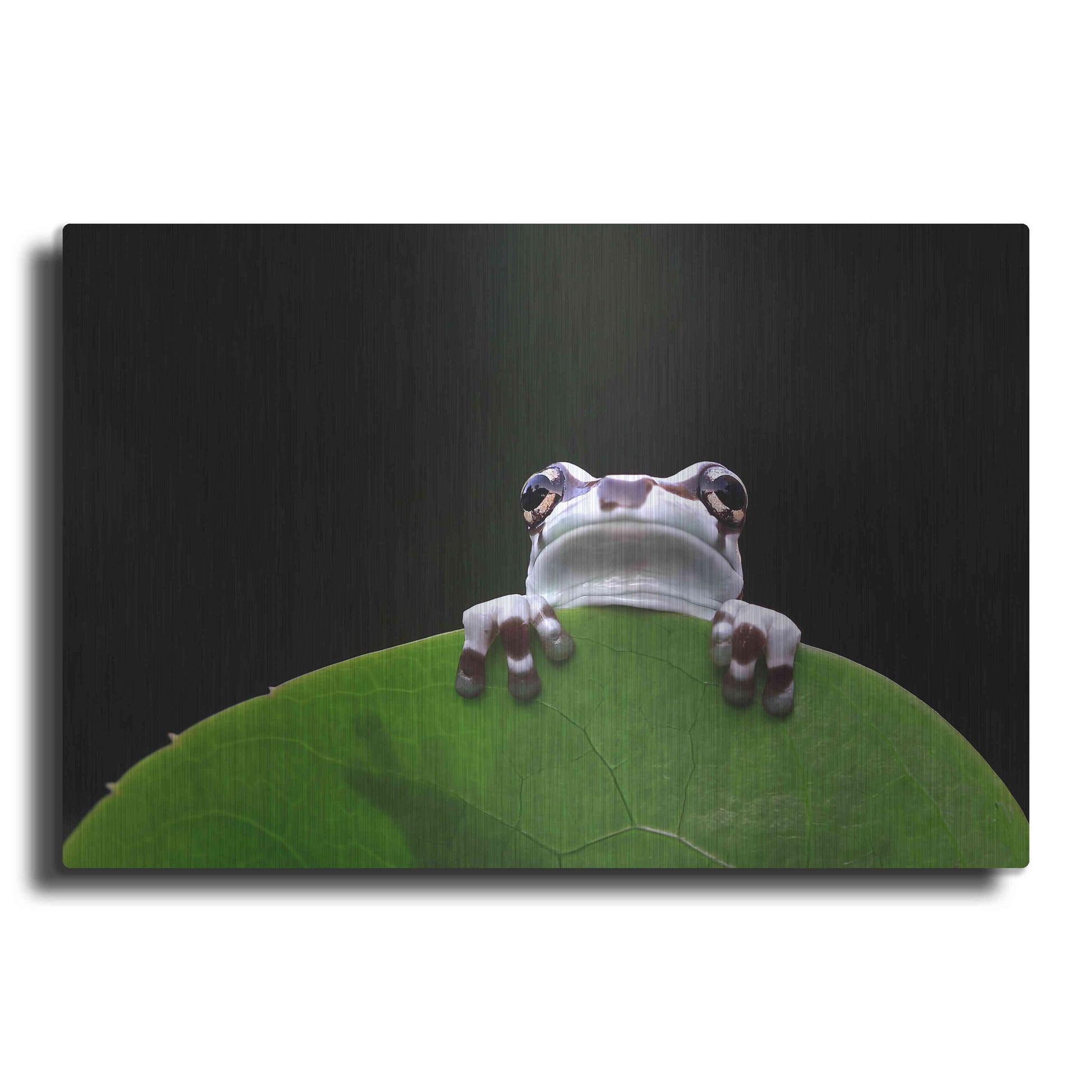 Luxe Metal Art 'Peekaboo' by Epic Portfolio Metal Wall Art