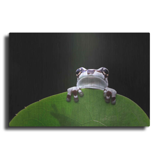 Luxe Metal Art 'Peekaboo' by Epic Portfolio Metal Wall Art