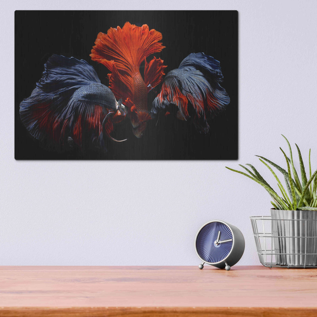Luxe Metal Art 'Siamese Fighting Fish' by Epic Portfolio Metal Wall Art,16x12