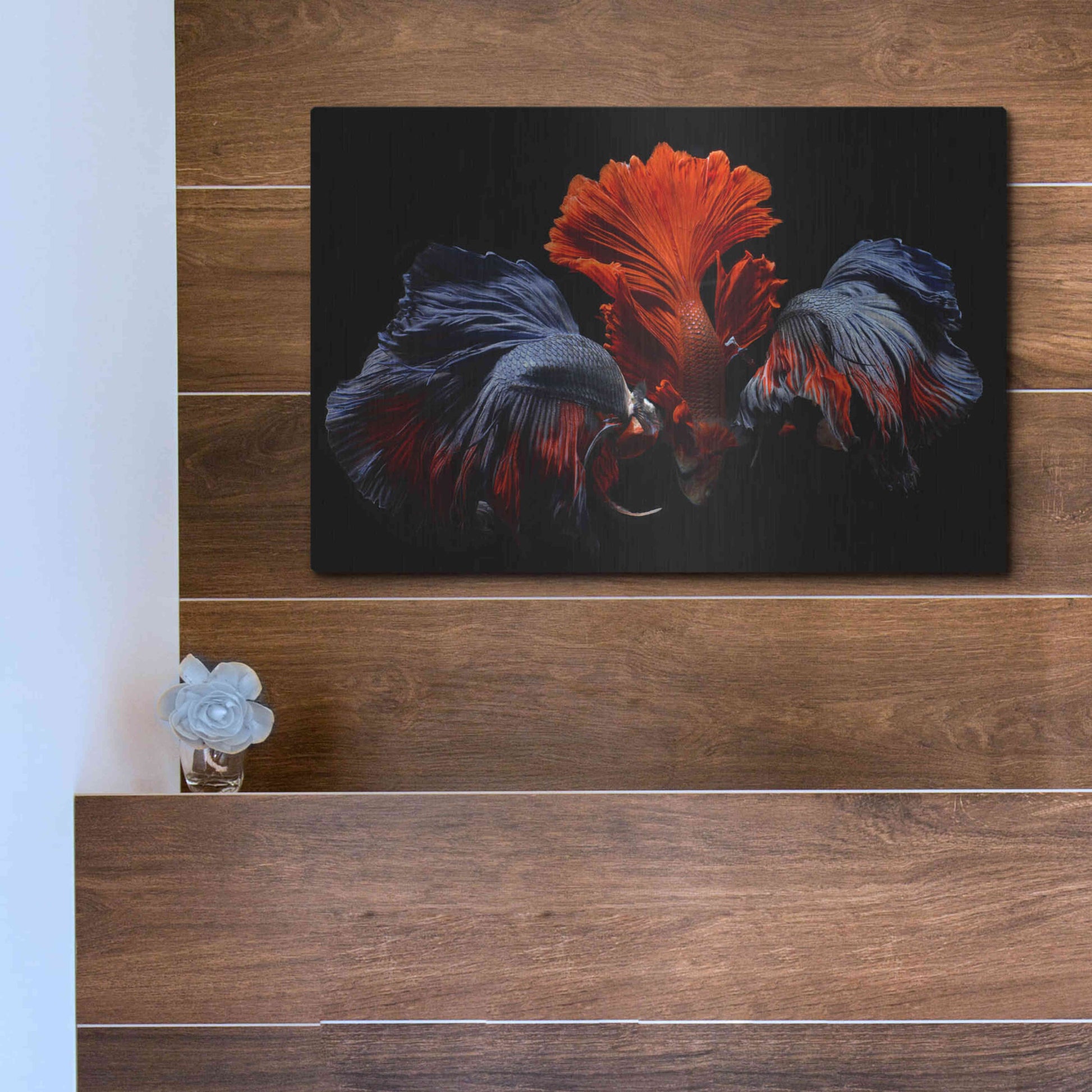 Luxe Metal Art 'Siamese Fighting Fish' by Epic Portfolio Metal Wall Art,16x12