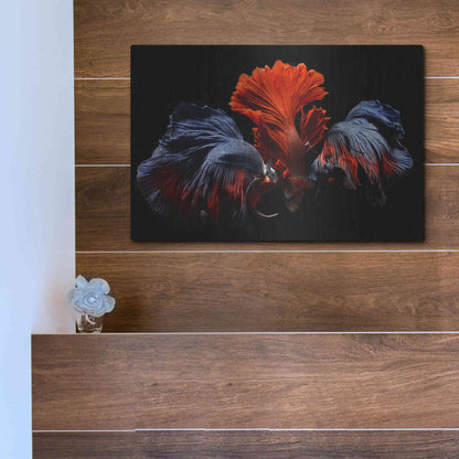 Luxe Metal Art 'Siamese Fighting Fish' by Epic Portfolio Metal Wall Art,16x12