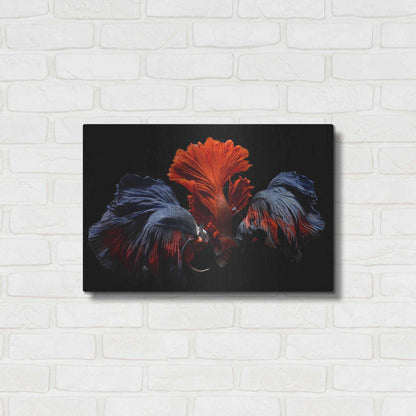 Luxe Metal Art 'Siamese Fighting Fish' by Epic Portfolio Metal Wall Art,24x16