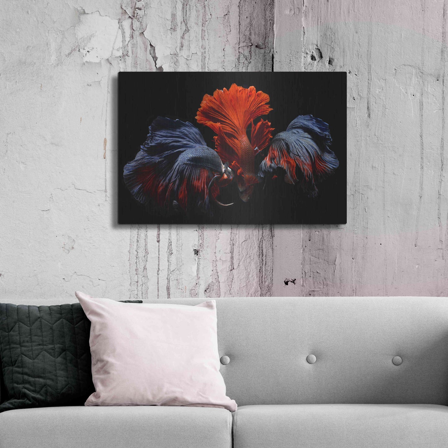 Luxe Metal Art 'Siamese Fighting Fish' by Epic Portfolio Metal Wall Art,36x24
