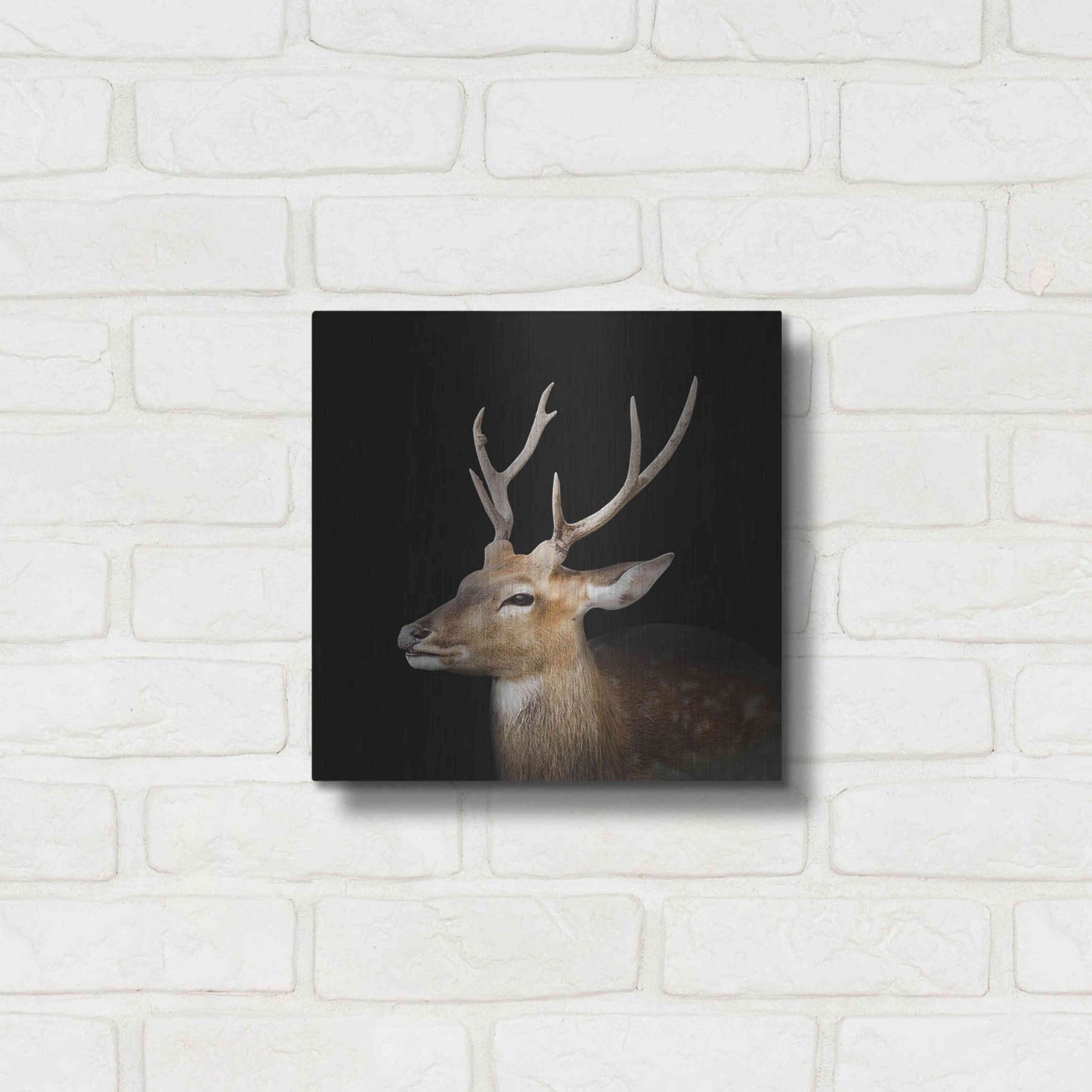 Luxe Metal Art 'Sika Deer' by Epic Portfolio Metal Wall Art,12x12