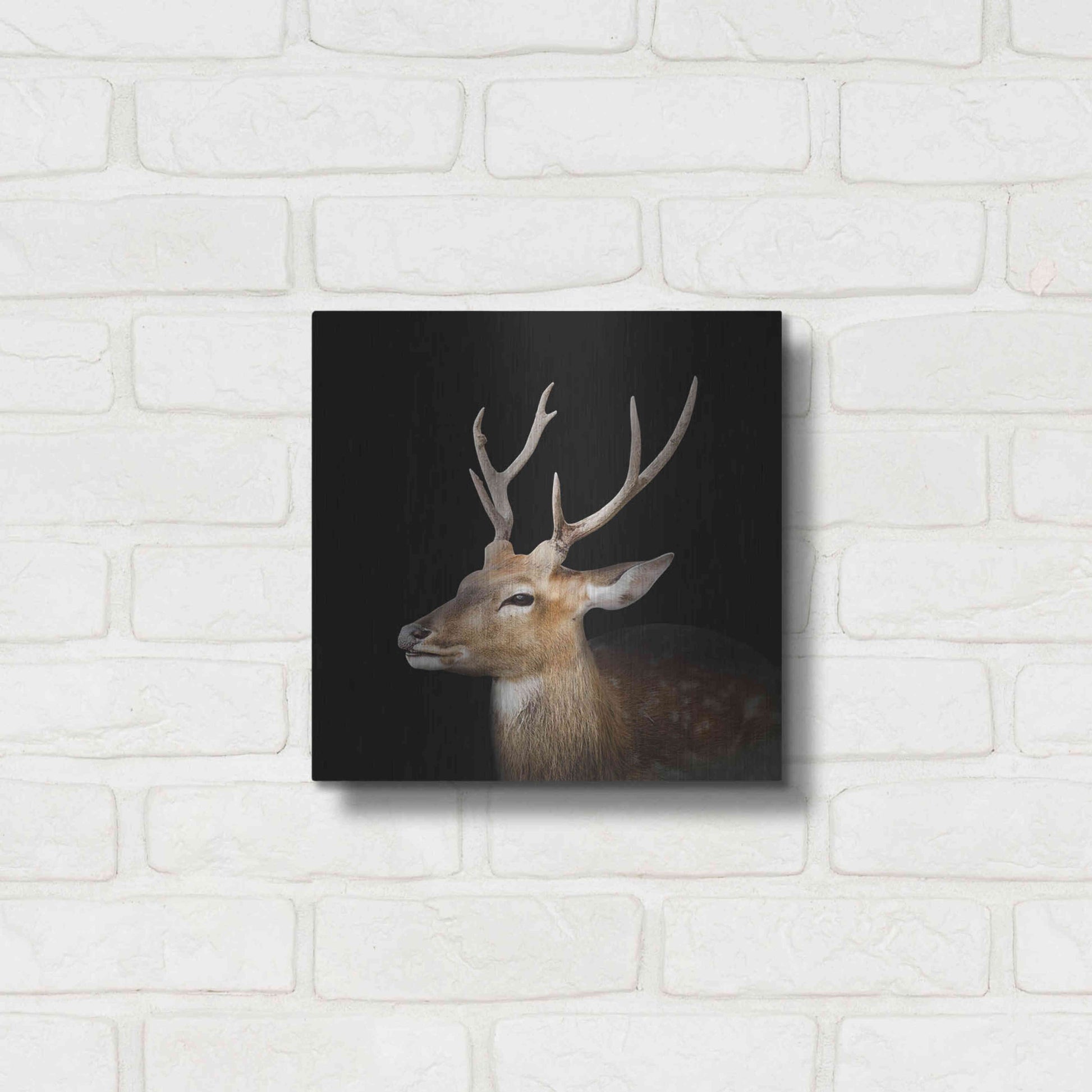 Luxe Metal Art 'Sika Deer' by Epic Portfolio Metal Wall Art,12x12