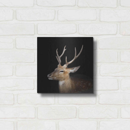 Luxe Metal Art 'Sika Deer' by Epic Portfolio Metal Wall Art,12x12