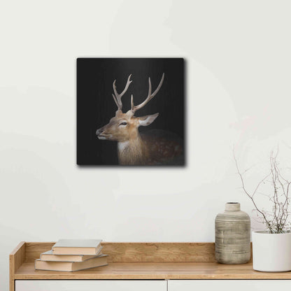 Luxe Metal Art 'Sika Deer' by Epic Portfolio Metal Wall Art,12x12