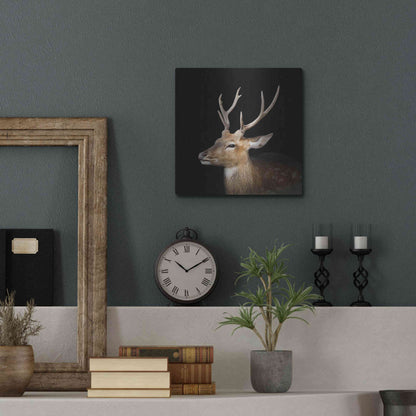Luxe Metal Art 'Sika Deer' by Epic Portfolio Metal Wall Art,12x12