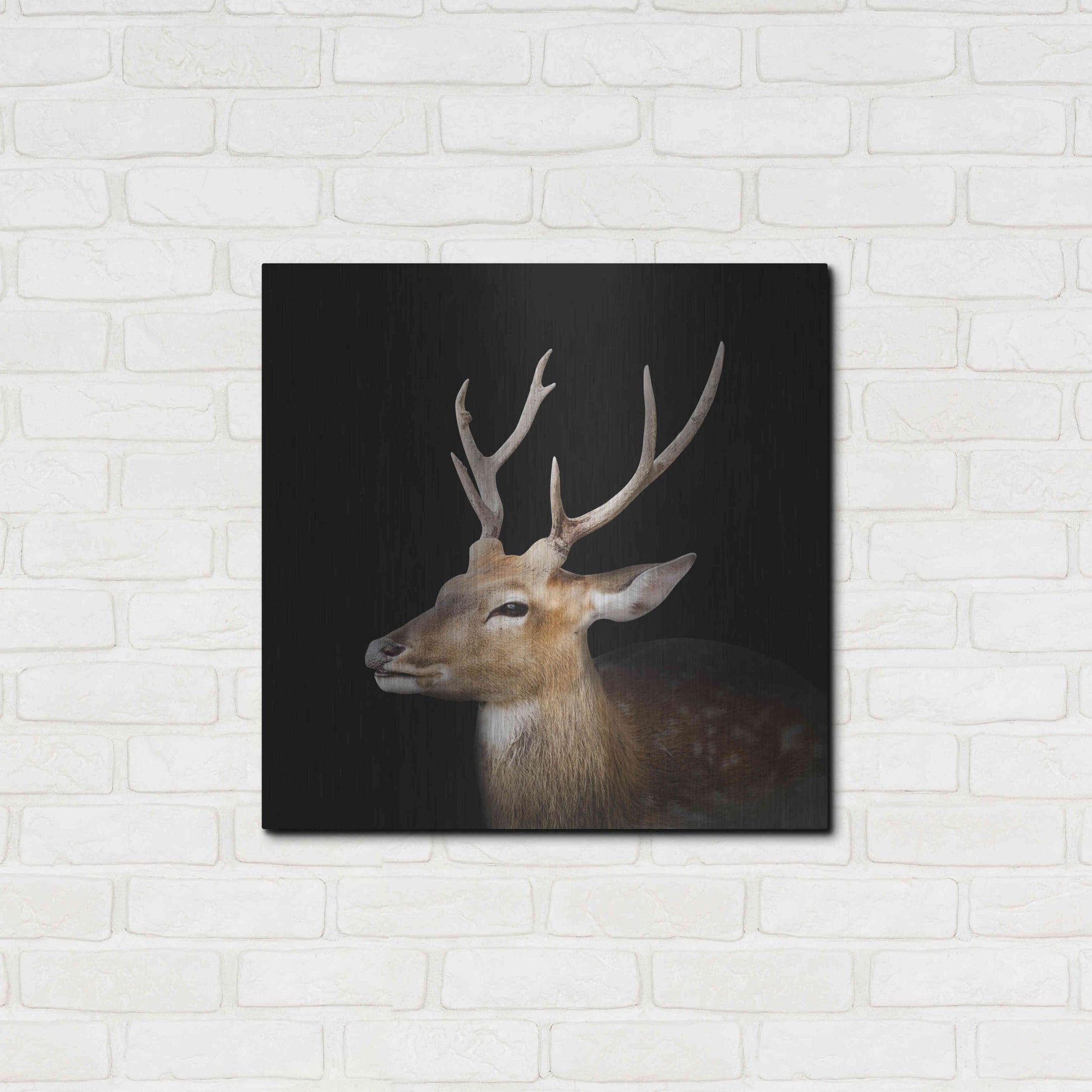 Luxe Metal Art 'Sika Deer' by Epic Portfolio Metal Wall Art,24x24
