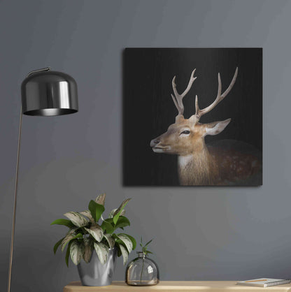 Luxe Metal Art 'Sika Deer' by Epic Portfolio Metal Wall Art,24x24