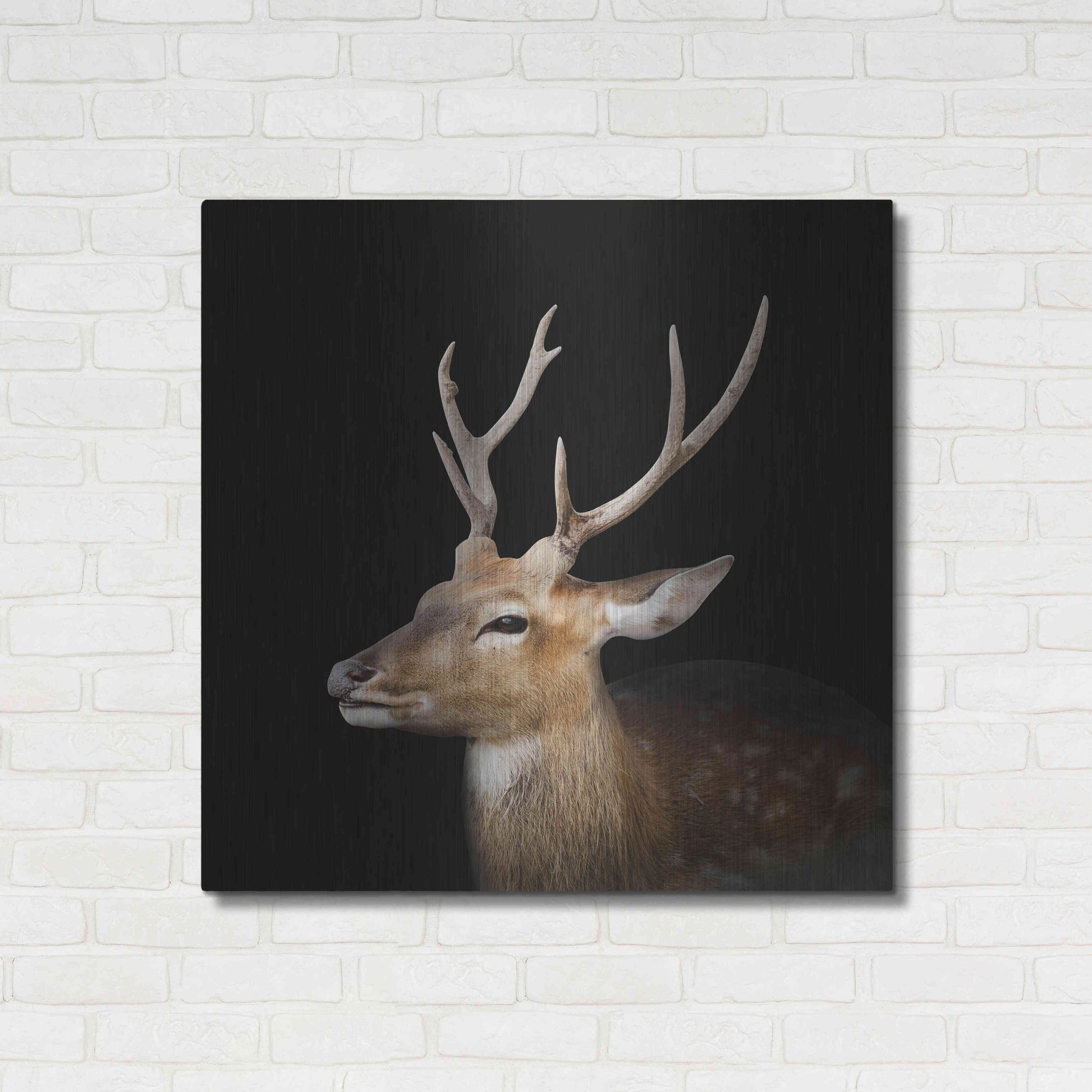 Luxe Metal Art 'Sika Deer' by Epic Portfolio Metal Wall Art,36x36
