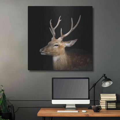 Luxe Metal Art 'Sika Deer' by Epic Portfolio Metal Wall Art,36x36