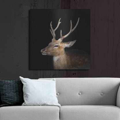 Luxe Metal Art 'Sika Deer' by Epic Portfolio Metal Wall Art,36x36