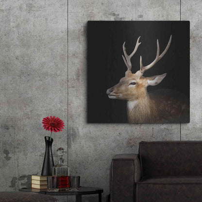 Luxe Metal Art 'Sika Deer' by Epic Portfolio Metal Wall Art,36x36
