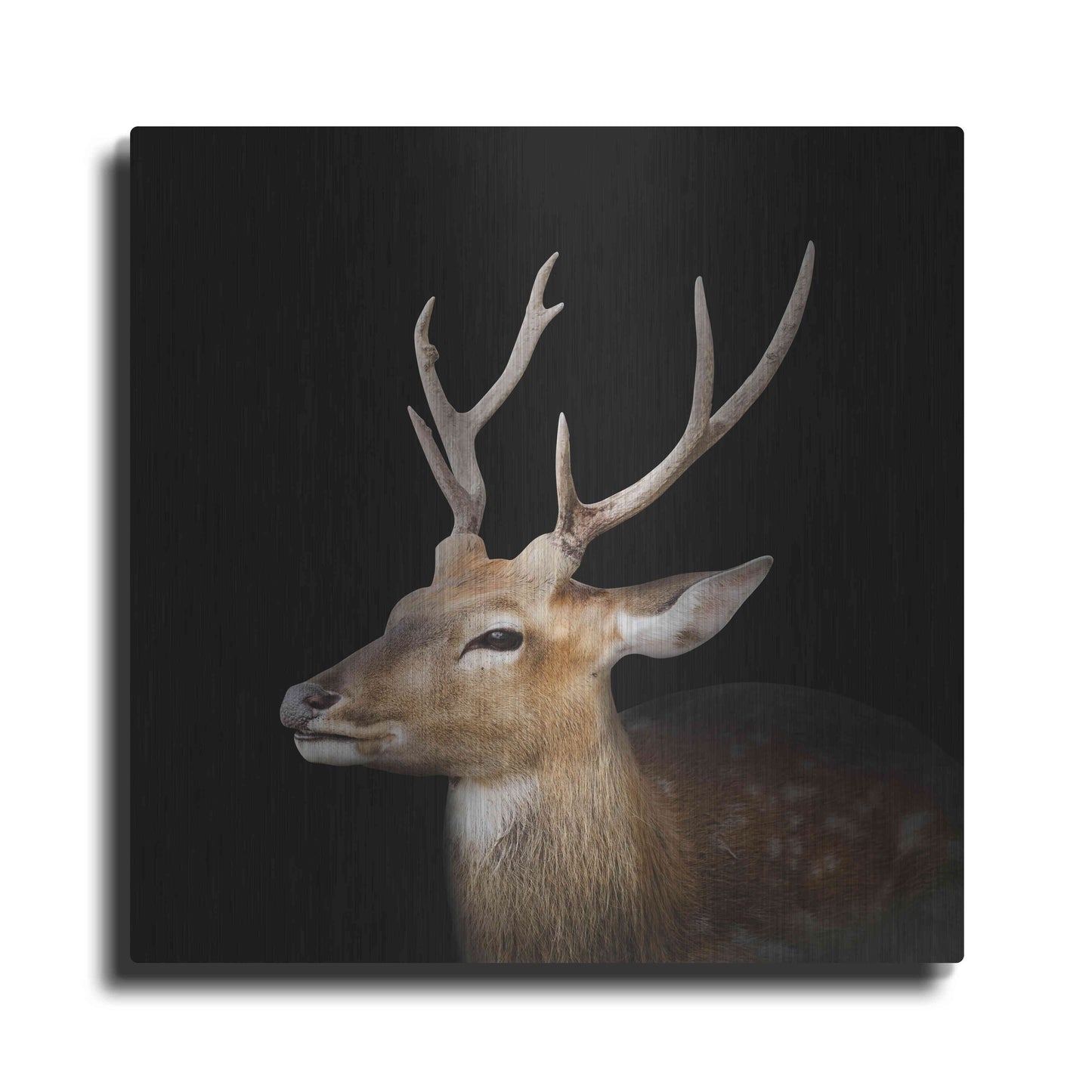 Luxe Metal Art 'Sika Deer' by Epic Portfolio Metal Wall Art