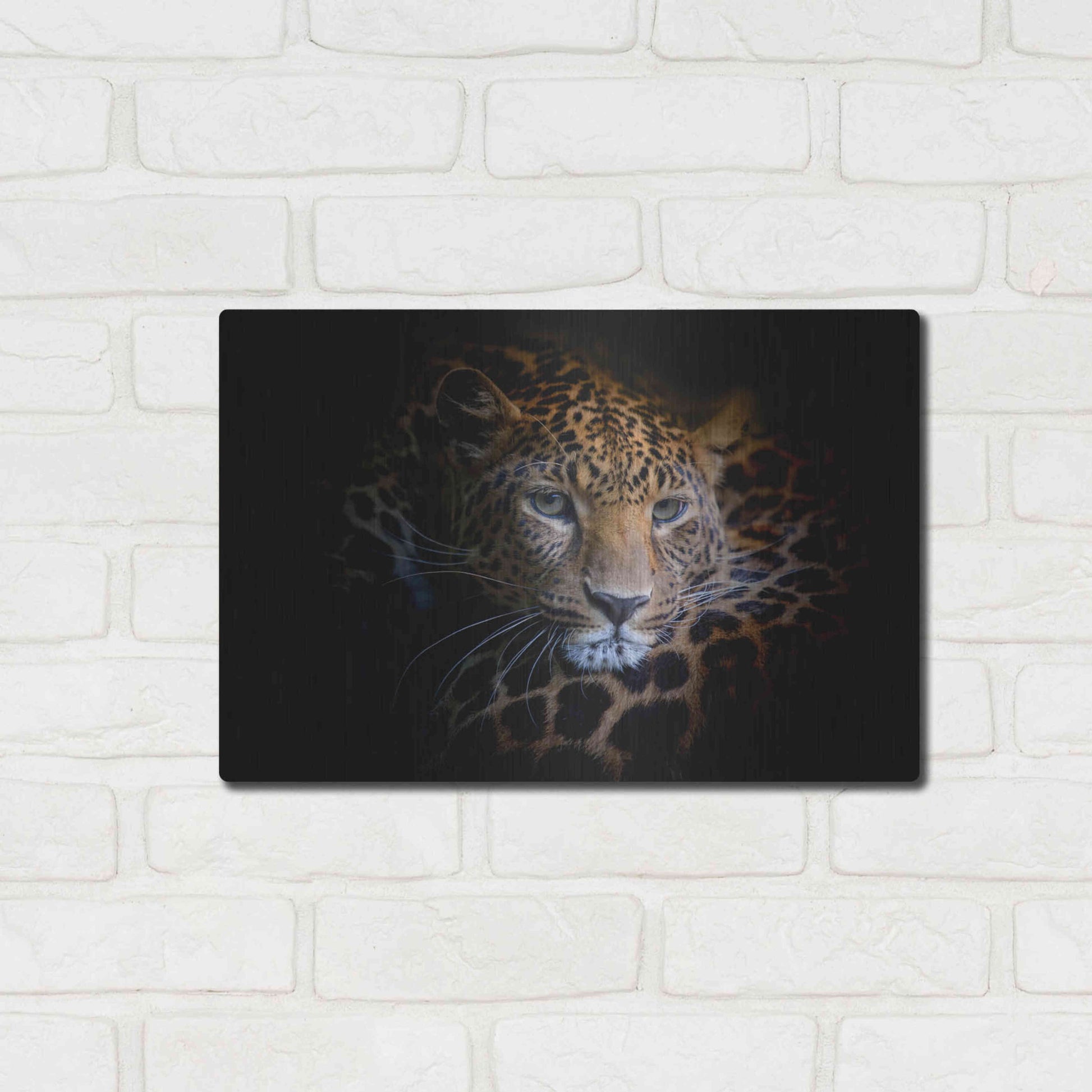 Luxe Metal Art 'Sleepy Leopard' by Epic Portfolio Metal Wall Art,16x12
