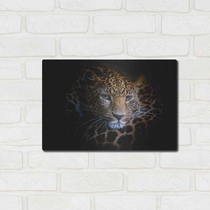 Luxe Metal Art 'Sleepy Leopard' by Epic Portfolio Metal Wall Art,16x12