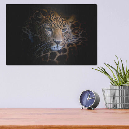 Luxe Metal Art 'Sleepy Leopard' by Epic Portfolio Metal Wall Art,16x12