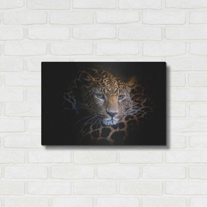 Luxe Metal Art 'Sleepy Leopard' by Epic Portfolio Metal Wall Art,24x16