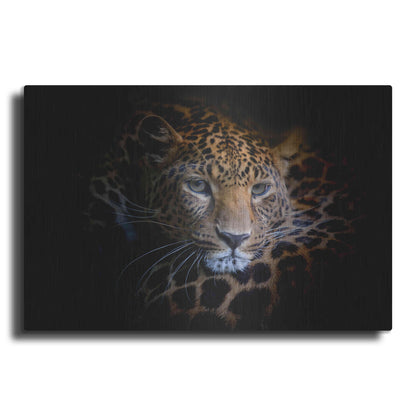 Luxe Metal Art 'Sleepy Leopard' by Epic Portfolio Metal Wall Art