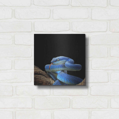 Luxe Metal Art 'Slithering Cobalt' by Epic Portfolio Metal Wall Art,12x12