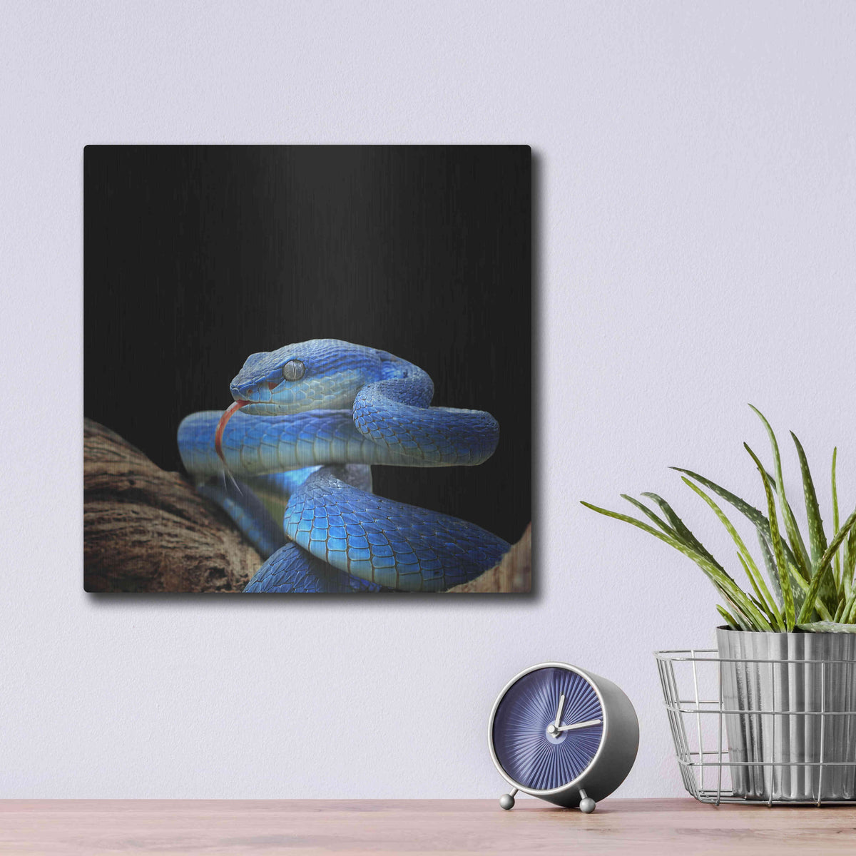 Luxe Metal Art 'Slithering Cobalt' by Epic Portfolio Metal Wall Art,12x12
