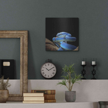 Luxe Metal Art 'Slithering Cobalt' by Epic Portfolio Metal Wall Art,12x12