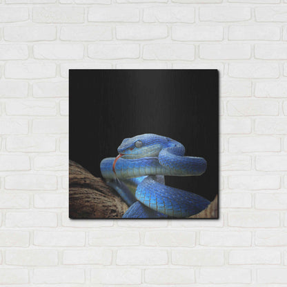 Luxe Metal Art 'Slithering Cobalt' by Epic Portfolio Metal Wall Art,24x24