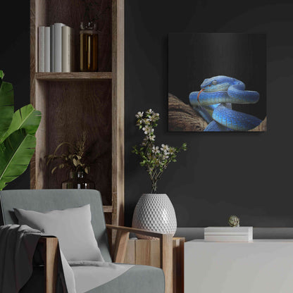 Luxe Metal Art 'Slithering Cobalt' by Epic Portfolio Metal Wall Art,24x24