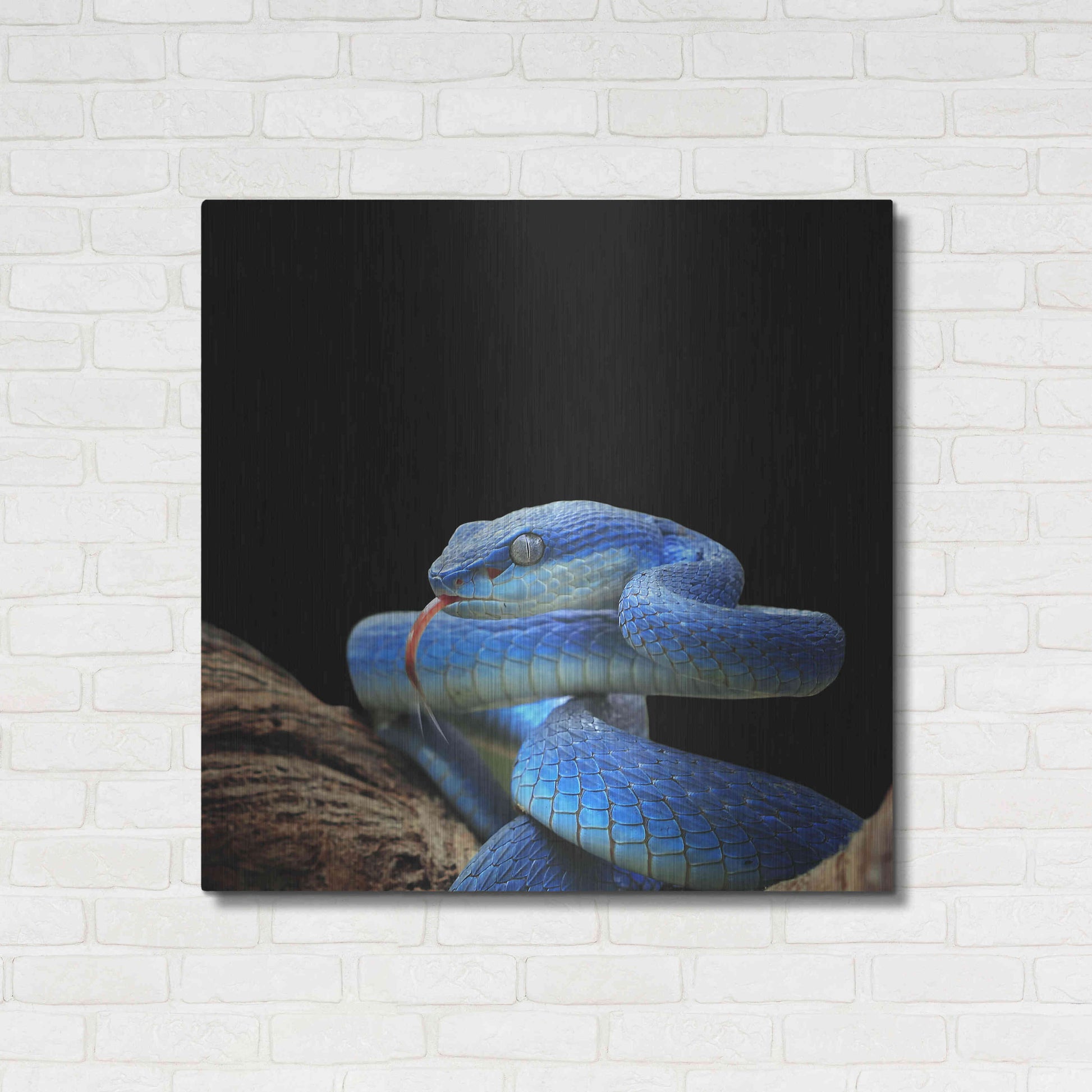 Luxe Metal Art 'Slithering Cobalt' by Epic Portfolio Metal Wall Art,36x36