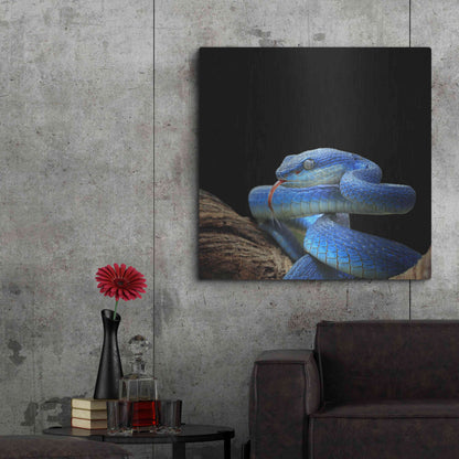 Luxe Metal Art 'Slithering Cobalt' by Epic Portfolio Metal Wall Art,36x36