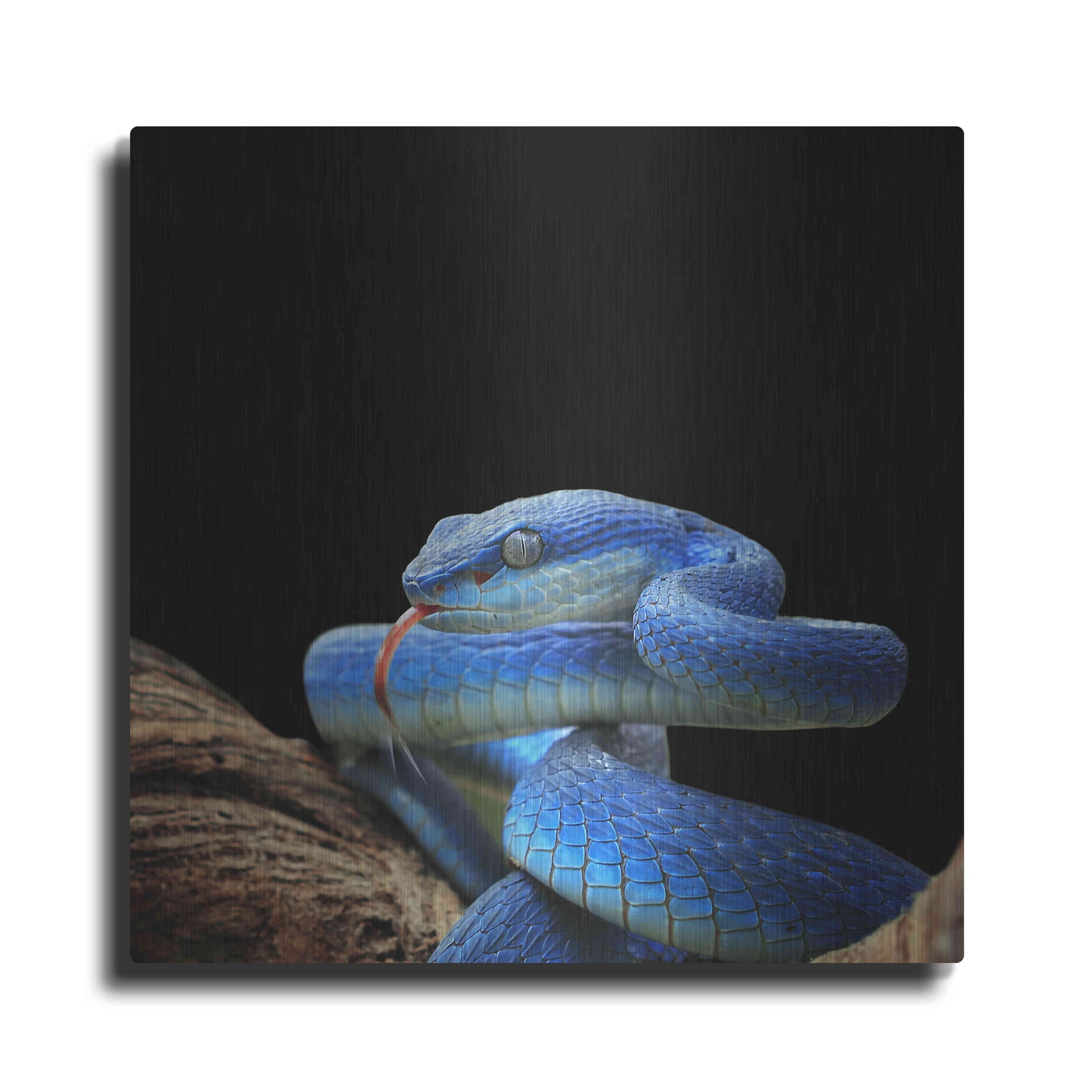 Luxe Metal Art 'Slithering Cobalt' by Epic Portfolio Metal Wall Art