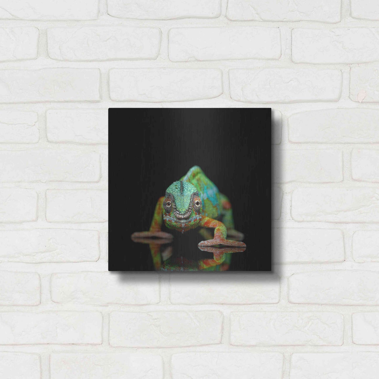 Luxe Metal Art 'Sneaky Cameleon' by Epic Portfolio Metal Wall Art,12x12