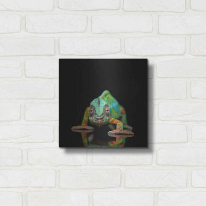 Luxe Metal Art 'Sneaky Cameleon' by Epic Portfolio Metal Wall Art,12x12